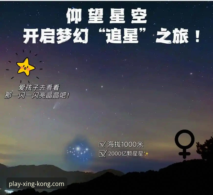 星空娱乐活动使用技巧详解：从入门到精通的实用指南
